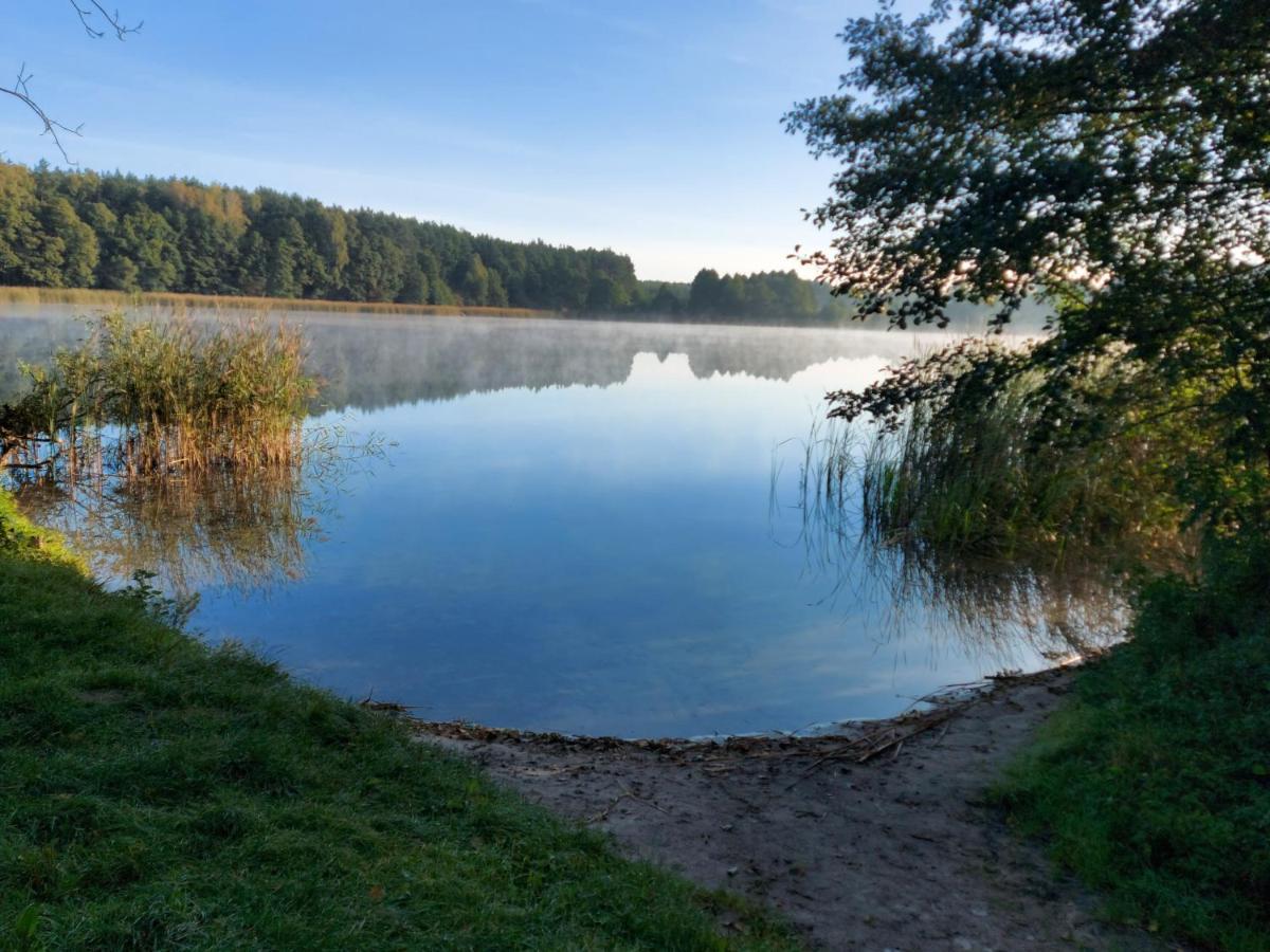 Dom Nad Stawem Holiday home Wielgie