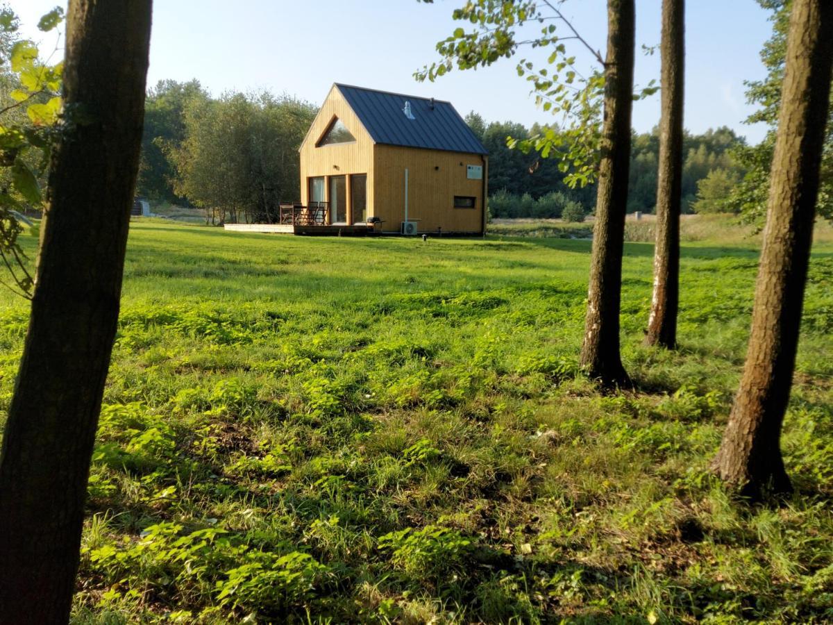 Dom Nad Stawem Casa vacanze Wielgie